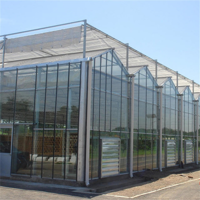 غطاء حديقة الشتاء غطاء الفطر الزجاج الشمسي الدفيئة Multi Span Venlo Type Greenhouse