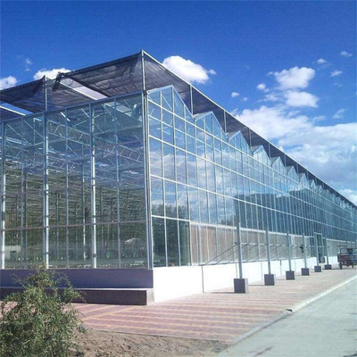 الإطار المعدني Polytunnel Glass Venlo نوع الدفيئة 60x90m