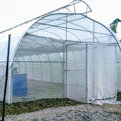 الزراعة الدفيئة سقف واحد تمتد نفق واحد مظلة تنفيس للمنطقة الساخنة