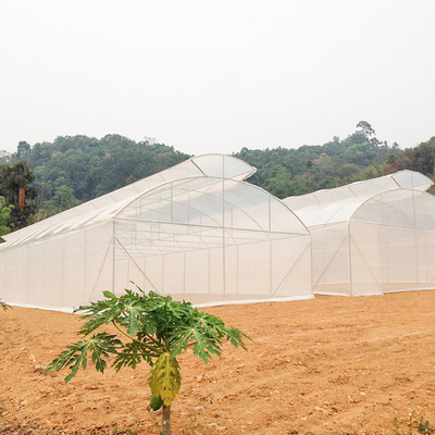 الزراعة الدفيئة سقف واحد تمتد نفق واحد مظلة تنفيس للمنطقة الساخنة