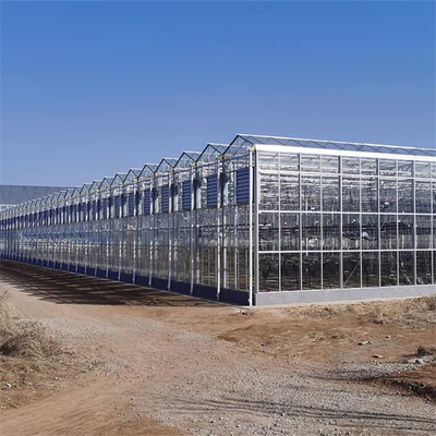 زجاج تجاري متعدد الامتداد لزراعة نباتات الدفيئة الزراعية