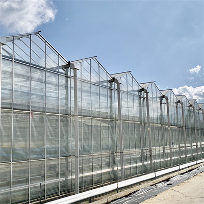 متعدد الدفيئة دوبل لوحة الزجاج المجلفن هيكل الدفيئة الزجاج الهولندي الدفيئة العمودي