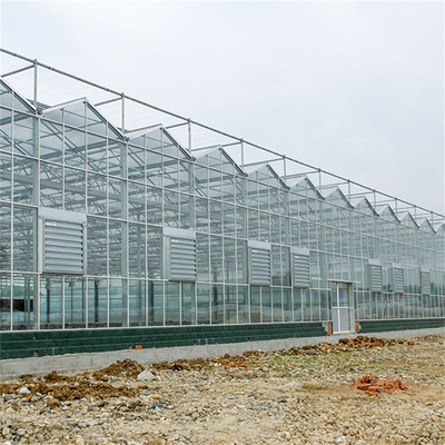 الزراعة الصينية الزجاج المقسى الدفيئة Venlo نوع المجلفن التجاري