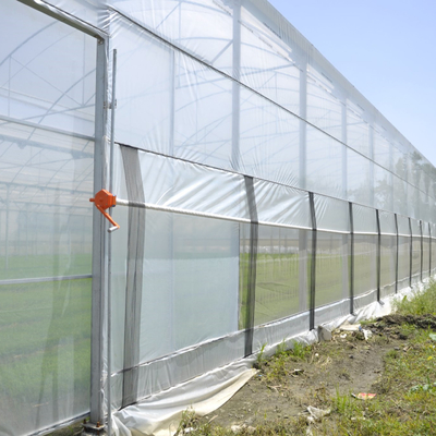 الزراعة المائية المتكاملة تايلاند Multi Span Greenhouse Side Ventilation Industrial