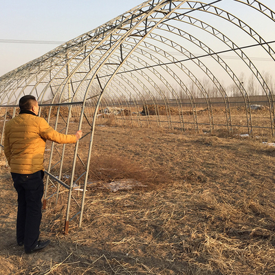 مزرعة دواجن تستخدم دفيئة بلاستيكية زراعية دافئة تحمي من المطر