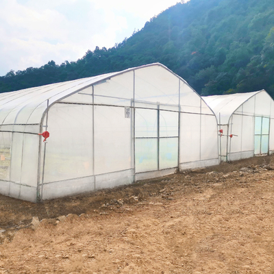الساخنة الإطار الصلب المجلفن الفاكهة الاستوائية تنمو الدفيئة التجارية الدفيئة للبيع