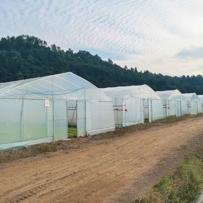نظام الزراعة المائية ذات فترة واحدة من البلاستيك فيلم الزراعة الدفيئات البناء للبيع