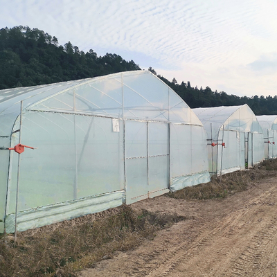 الساخنة الإطار الصلب المجلفن الفاكهة الاستوائية تنمو الدفيئة التجارية الدفيئة للبيع