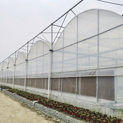 نظام الزراعة المائية التجارية للطماطم الدفيئة متعددة المواقع مع أنظمة التحكم في المناخ