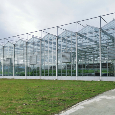 الدفيئات الزراعية متعددة الامتدادات الدفيئة الزجاجية من Venlo مع نظام الزراعة المائية