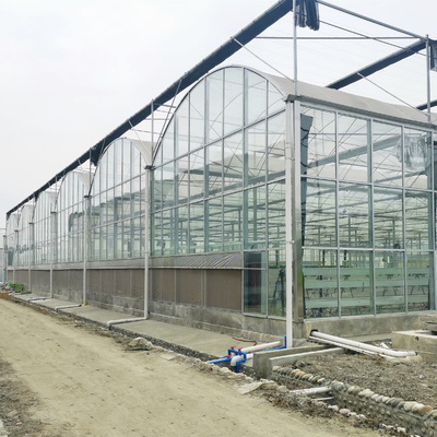 نفق دائري خفف من زجاج Venlo Glass Greenhouse متعدد الزراعة المائية الأوتوماتيكية
