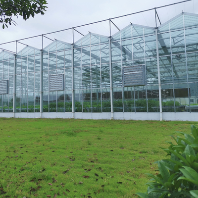 الزراعة زهرة الدفيئة الزجاج الصناعي في الهواء الطلق multispan الزجاج المهنية الهولندية الدفيئة لزراعة الزهور