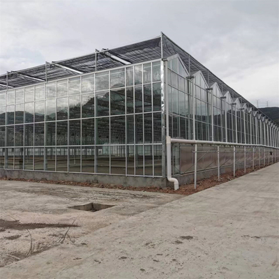 استكمال زراعة الخضار الدفيئة الزراعية الزجاجية الزجاجية الدفيئة متعددة الامتدادات