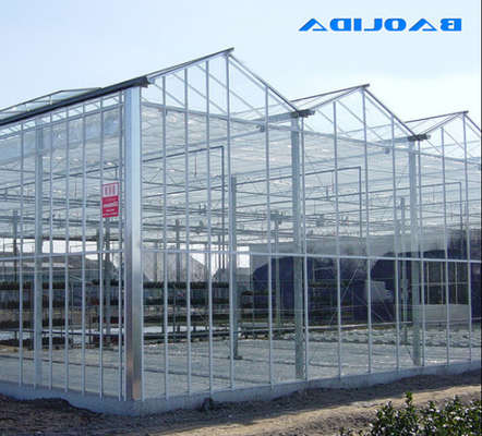 الدفيئة الزجاجية Venlo كبيرة الحجم هيكل قوي عالي ISO9001