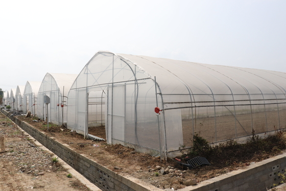 Polytunnel سري لانكا كولومبو الصلب الإطار دفيئة واحدة تمتد