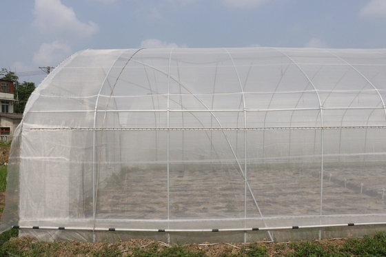 Polytunnel سري لانكا كولومبو الصلب الإطار دفيئة واحدة تمتد