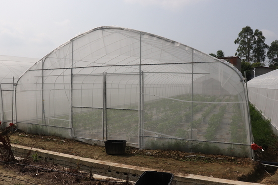 Polytunnel سري لانكا كولومبو الصلب الإطار دفيئة واحدة تمتد