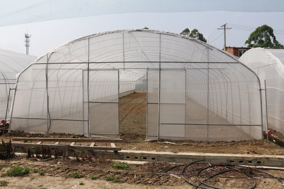 Polytunnel سري لانكا كولومبو الصلب الإطار دفيئة واحدة تمتد