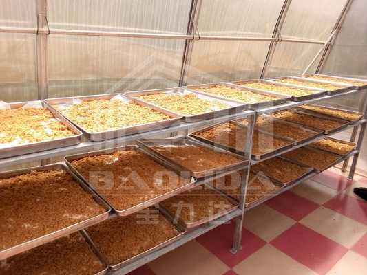 لوح البولي كربونات الفلفل الحار مجفف تجفيف الدفيئة بالطاقة الشمسية للخضروات والفواكه