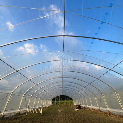 6x15m النفق متعددة الأغراض الدفيئة مع انتقال الضوء متفوقة