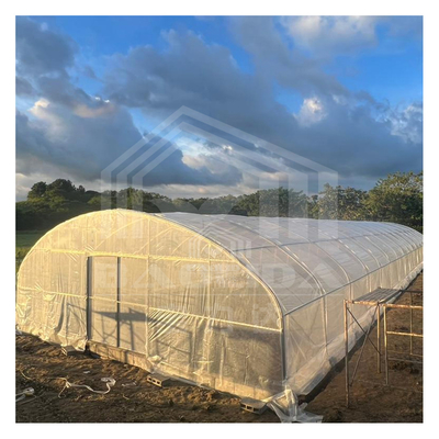 6x15m النفق متعددة الأغراض الدفيئة مع انتقال الضوء متفوقة