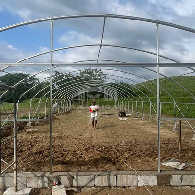 6x15m النفق متعددة الأغراض الدفيئة مع انتقال الضوء متفوقة
