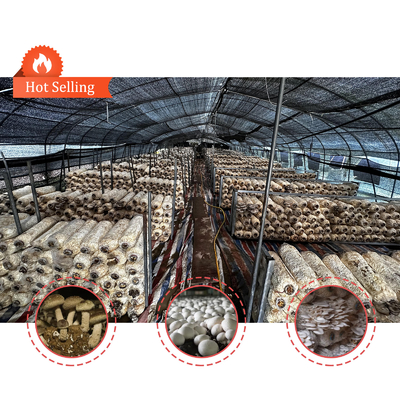 ارتفاع الجانب 1.2-1.8m ومساحة القوس 1-1.5m الفطر النفق البولي الدفيئة محمية من الأشعة فوق البنفسجية