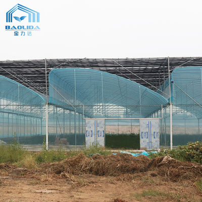 طقم بيت زجاجي بغشاء البولي إيثيلين متعدد الأبعاد من 6 إلى 12 مترًا مع ضمان لمدة 10 سنوات