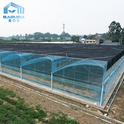 طقم بيت زجاجي بغشاء البولي إيثيلين متعدد الأبعاد من 6 إلى 12 مترًا مع ضمان لمدة 10 سنوات