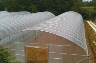 خيمة الدفيئة في الهواء الطلق في الأماكن المغلقة الصغيرة / الخضروات تنمو خيمة سهلة التركيب