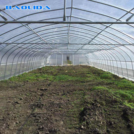 الزراعية عالية هوب خيمة الإطار الصلب الدفيئة لنمو الطماطم