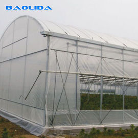 دعم نافذة جانبية بلاستيكية شفافة متعددة الدفيئة للزراعة
