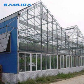 زجاج تجاري مغطى Venlo Style Greenhouse مضاد للتآكل
