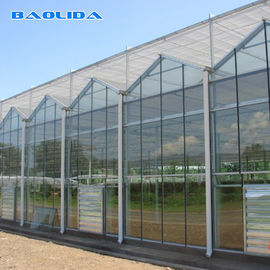 زجاج تجاري مغطى Venlo Style Greenhouse مضاد للتآكل