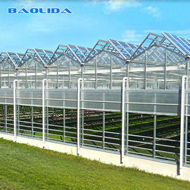 Multi Span Venlo Glass Greenhouse 140mm / H قدرة ISO9001 مصدق