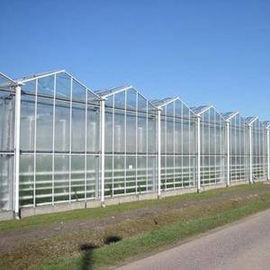 الدفيئة الزراعية الشفافة من نوع Venlo لزهور الفاكهة