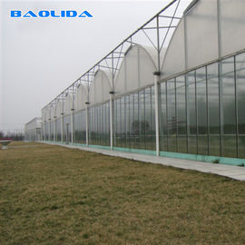 نفق زجاجي شفاف لزراعة نباتات الاحتباس الحراري