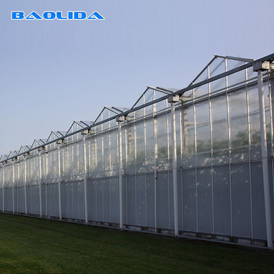 الزراعة الدفيئة الزجاجية متعددة Span Venlo لزراعة الطماطم