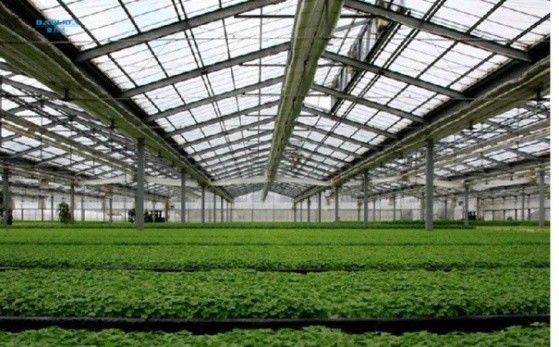 أنابيب الصلب المجلفن التلقائي الدفيئة الزجاجية Venlo للحديقة النباتية