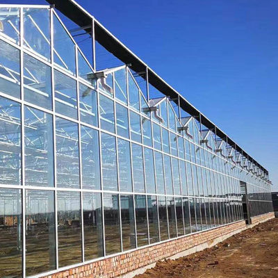 غطاء حديقة الشتاء غطاء الفطر الزجاج الشمسي الدفيئة Multi Span Venlo Type Greenhouse