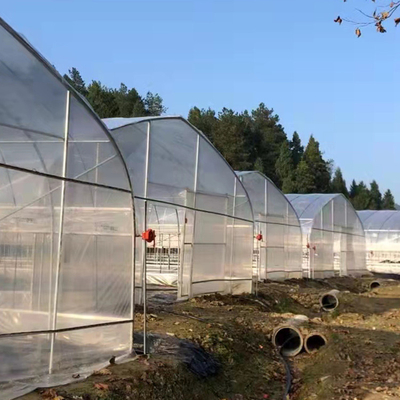 البولي ايثيلين فيلم الدفيئة الزراعية نفق الدفيئة البلاستيكية لنمو النبات