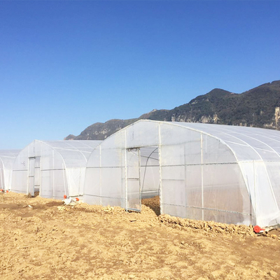 الزراعة واحدة سبان تراجع الساخنة المجلفن الأنابيب البلاستيكية الدفيئة للفراولة