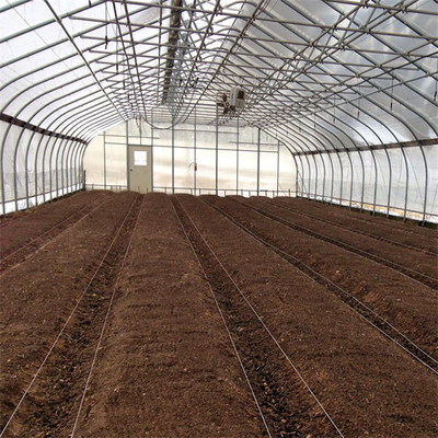 300 متر مربع نفق بلاستيك أبيض واحد دفيئة لزراعة الفراولة