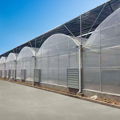 نفق زجاجي شفاف لزراعة نباتات الاحتباس الحراري