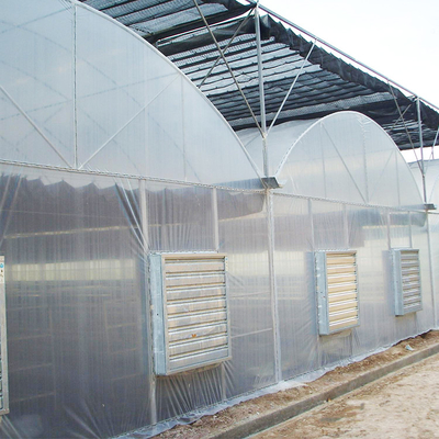 High Tech 200 Micron Greenhouse Automatic Plastic Film Multi Span مقاومة الرياح
