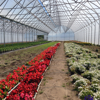 مزاريب نفق عالية دوران الهواء متعدد الامتدادات للاحتباس الحراري لزراعة الزهور