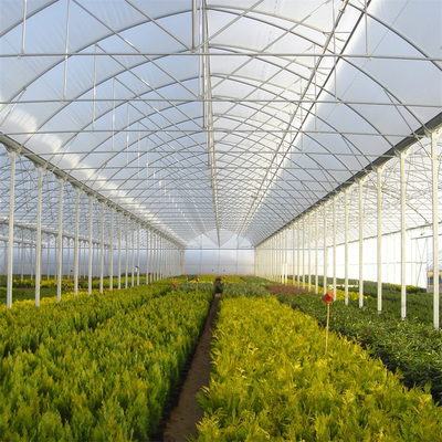 تراجع الساخنة المجلفن الصلب متعدد سبان الدفيئة فيلم البلاستيك لزراعة النبات