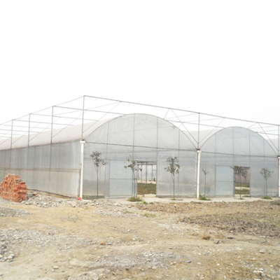 النمط القوطي Multispan High Tunnel Plastic Film Multi Span Greenhouse لزراعة الطماطم