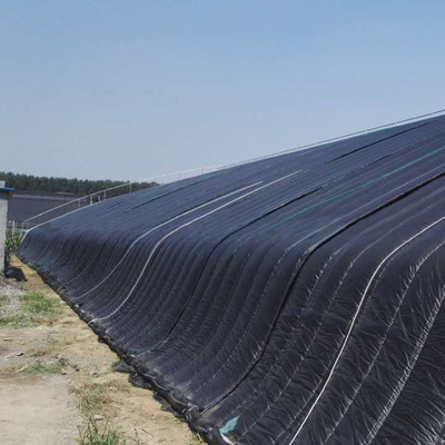 الزراعة الزراعة الزراعة المائية الدفيئة الشمسية السلبية